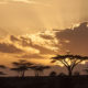 Erlebnisreise Tansania