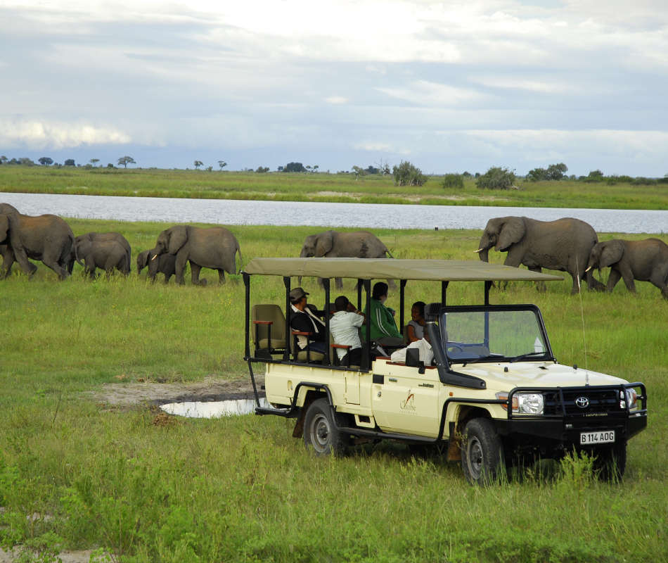 Luxusurlaub in Botswana - Luxuslodge &Beyond Sandibe Okavango Safari