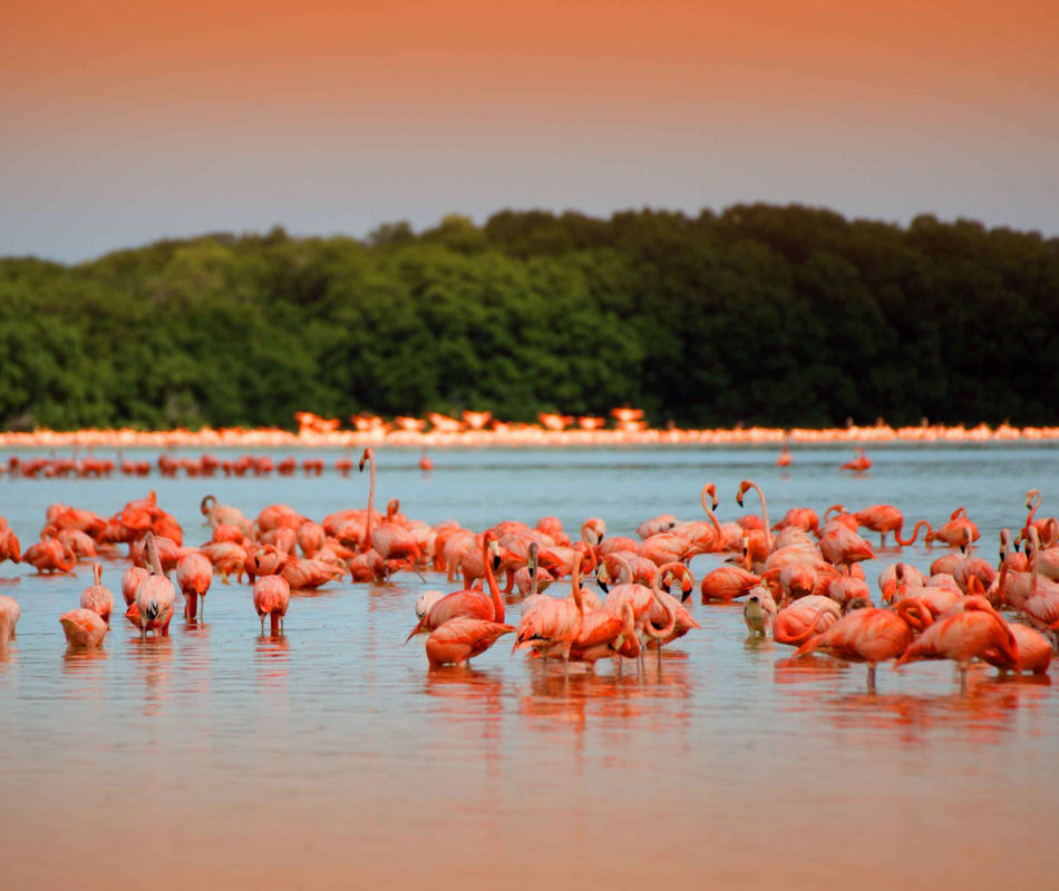 Luxusreise nach Mexiko, Rundreise Yucatan, Individualreise Mexiko