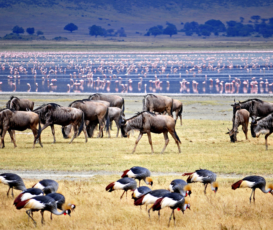 Individualreise Tansania, Erlebnisreise Tansania, Safaris in Tansania, Reiseroute Tansania, Lodges in Tansania