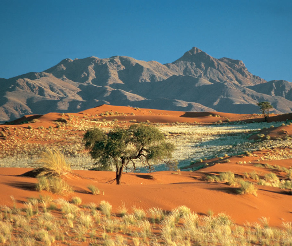 Erlebnisreise Namibia, Selbstfahrerreise Namibia, Mit dem Mietwagen durch Namibia, Luxusreise Namibia, Individualreise Namibia