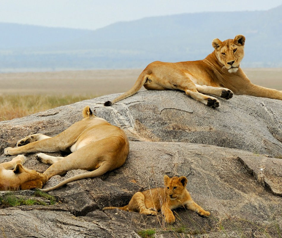 Individualreise Simbabwe und Botswana, Erlebnisreise Simbabwe, Rundreise Botswana, Luxuslodges Afrika