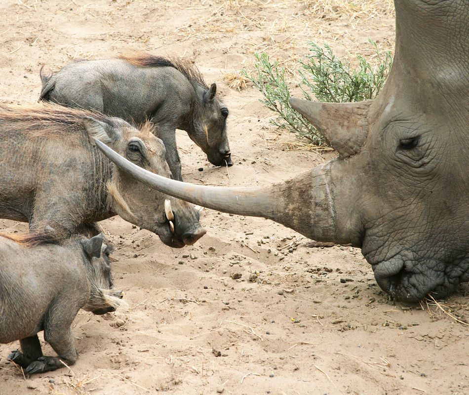 Erlebnisreise Namibia, Selbstfahrerreise Namibia, Mit dem Mietwagen durch Namibia, Luxusreise Namibia, Individualreise Namibia