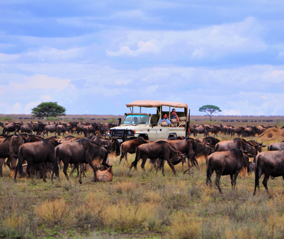 Individualreise Botswana, Individualreise Sambia, Rundreise Botswana und Sambia, Erlebnisreise durch das südliche Afrika