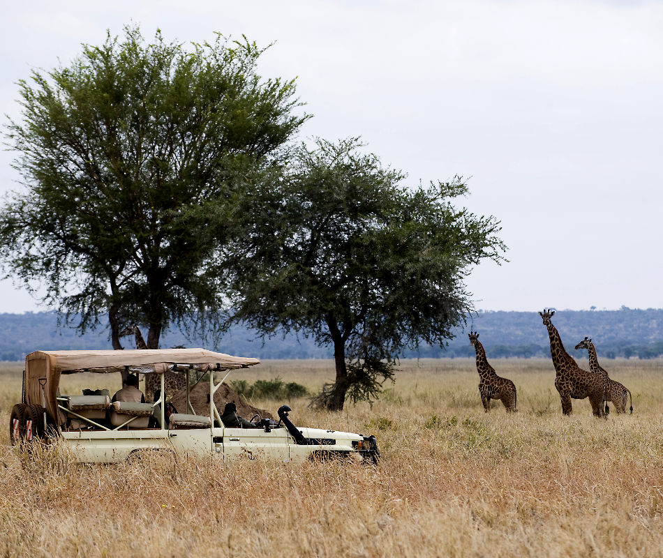 Individualreise Tansania, Erlebnisreise Tansania, Safaris in Tansania, Reiseroute Tansania, Lodges in Tansania