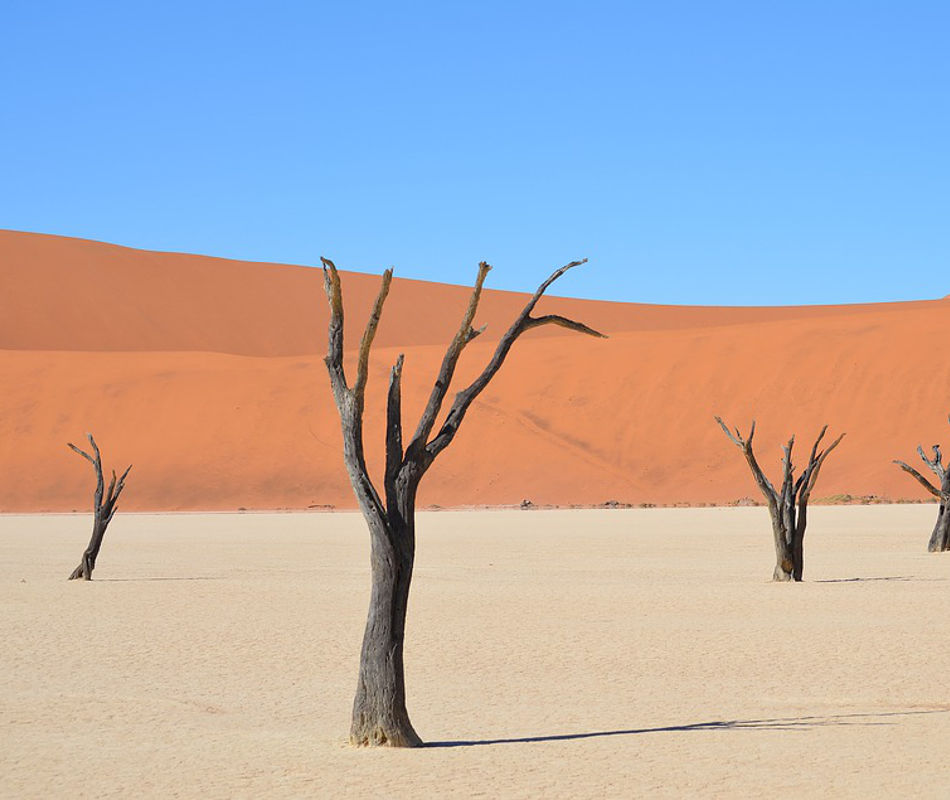 Erlebnisreise Namibia, Selbstfahrerreise Namibia, Mit dem Mietwagen durch Namibia, Luxusreise Namibia, Individualreise Namibia