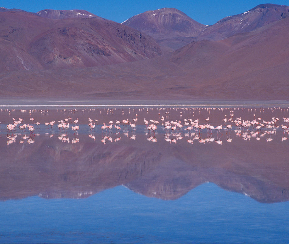 Bolivien, Salzwüste Salar de Uyuni Bolivien, Luxuscamper Bolivien, Uyuni Airstream, Glamping Bolivien