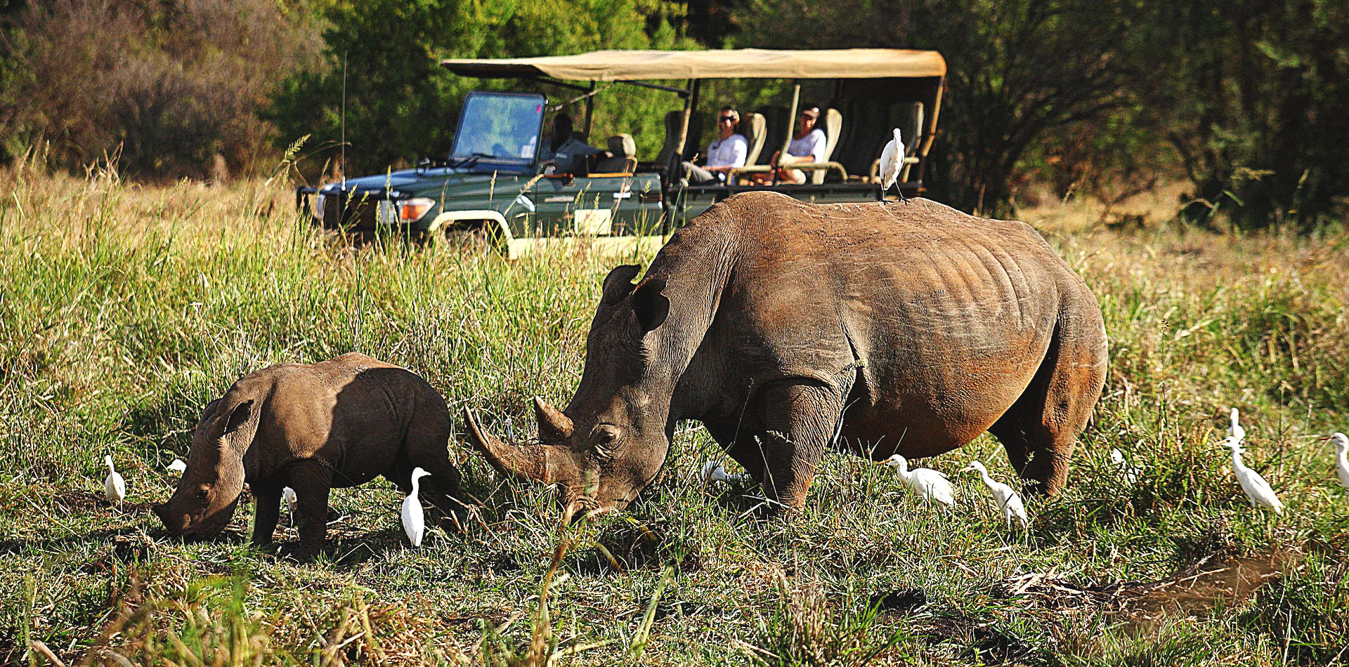 Individualreise Kenia, Erlebnisreise Kenia, Luxuscamps & Lodges in Kenia