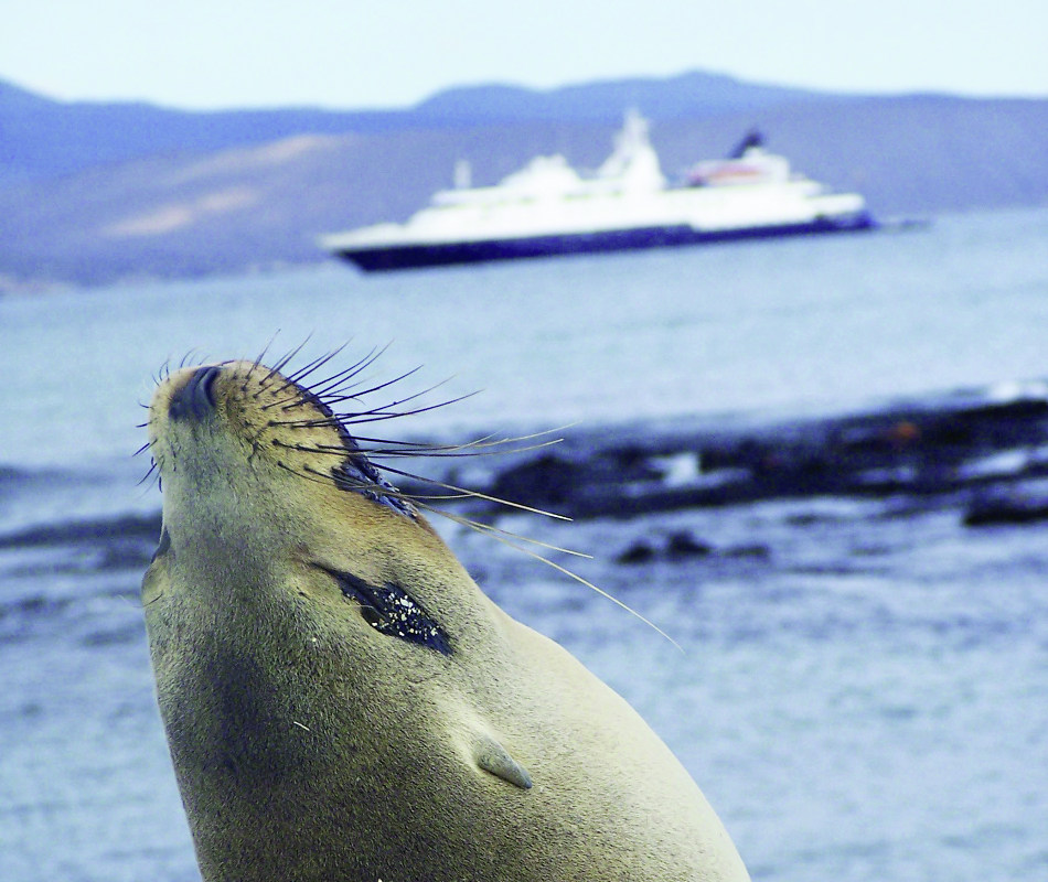 Expeditionskreuzfahrt Celebrity Xpedition, Kreuzfahrt Galapagos Inseln, Kreuzfahrt Celebrity Cruises