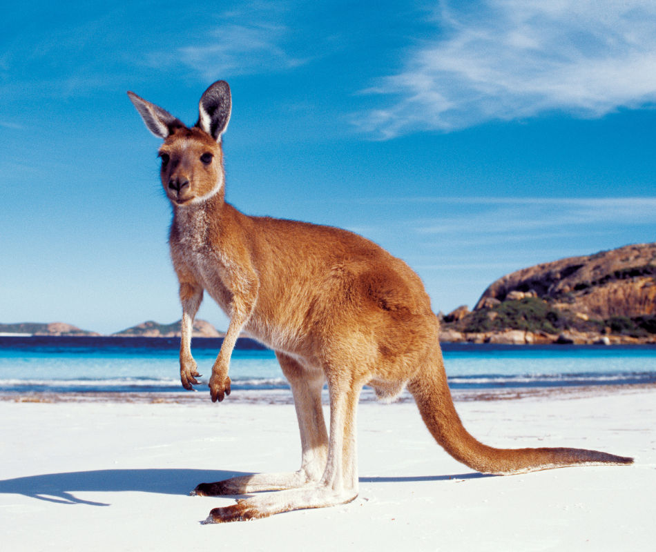 Erlebnisreise Australien, Luxushotels Australien, Individualreise Australien,