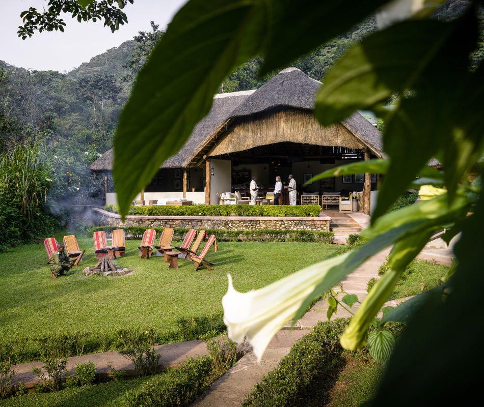 Uganda, Sanctuary Gorilla Forest Camp