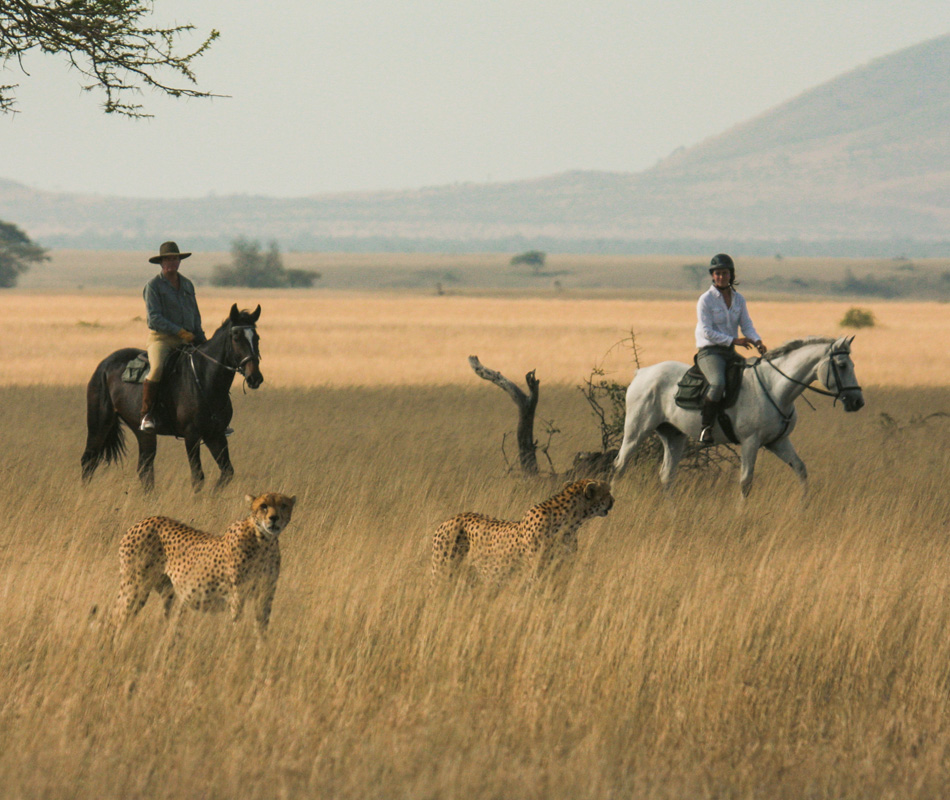 Erlebnisreise durch Kenia, Pferdesafari Kenia, Pferdesafari Afrika, Luxusreise Kenia