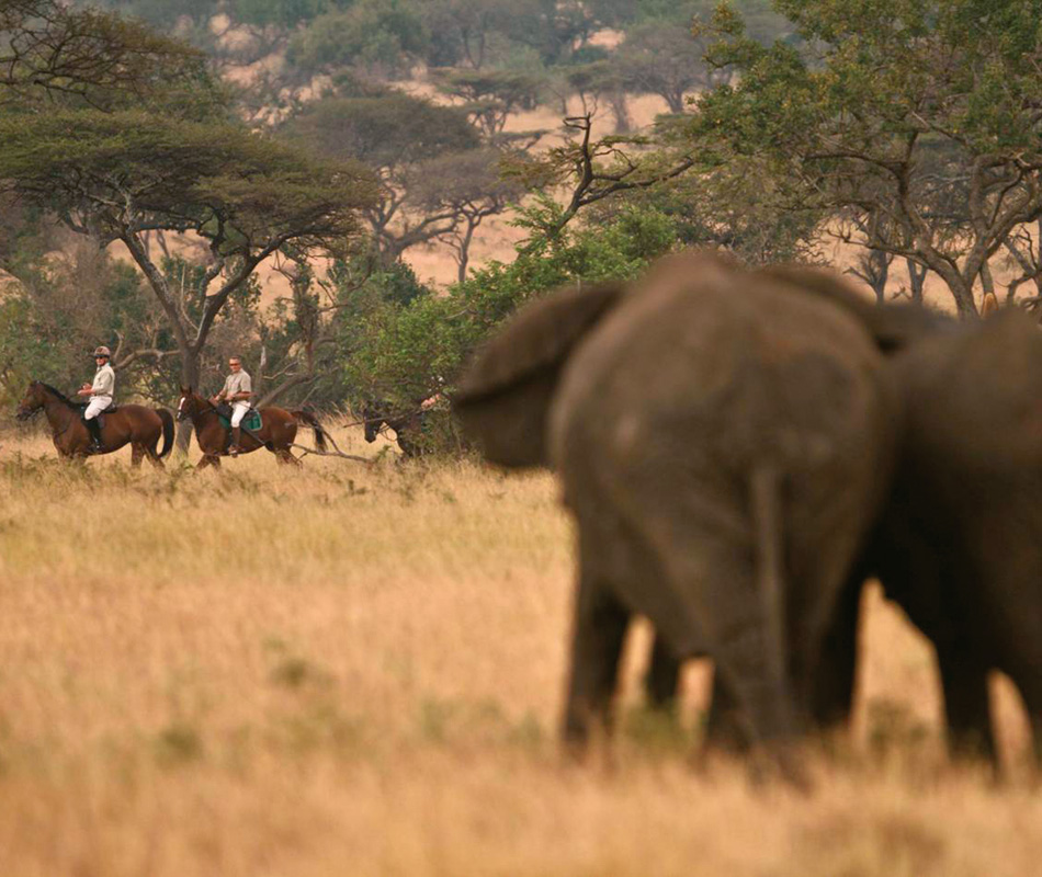 Erlebnisreise durch Kenia, Pferdesafari Kenia, Pferdesafari Afrika, Luxusreise Kenia