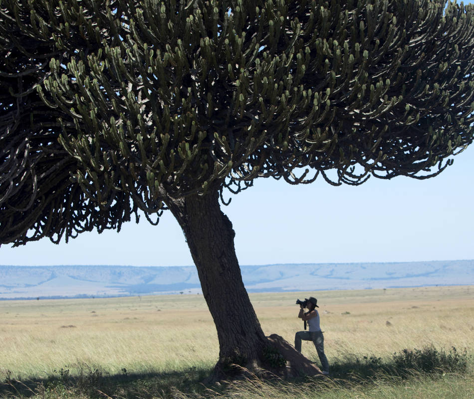 Mara Plains Camp Kenia, Lodge Maasai Mara Kenia, Great Plains Conservation, National Geographic Kenia