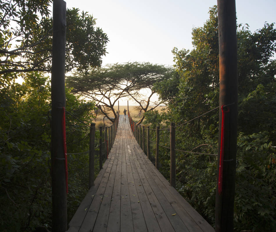 Mara Plains Camp Kenia, Lodge Maasai Mara Kenia, Great Plains Conservation, National Geographic Kenia