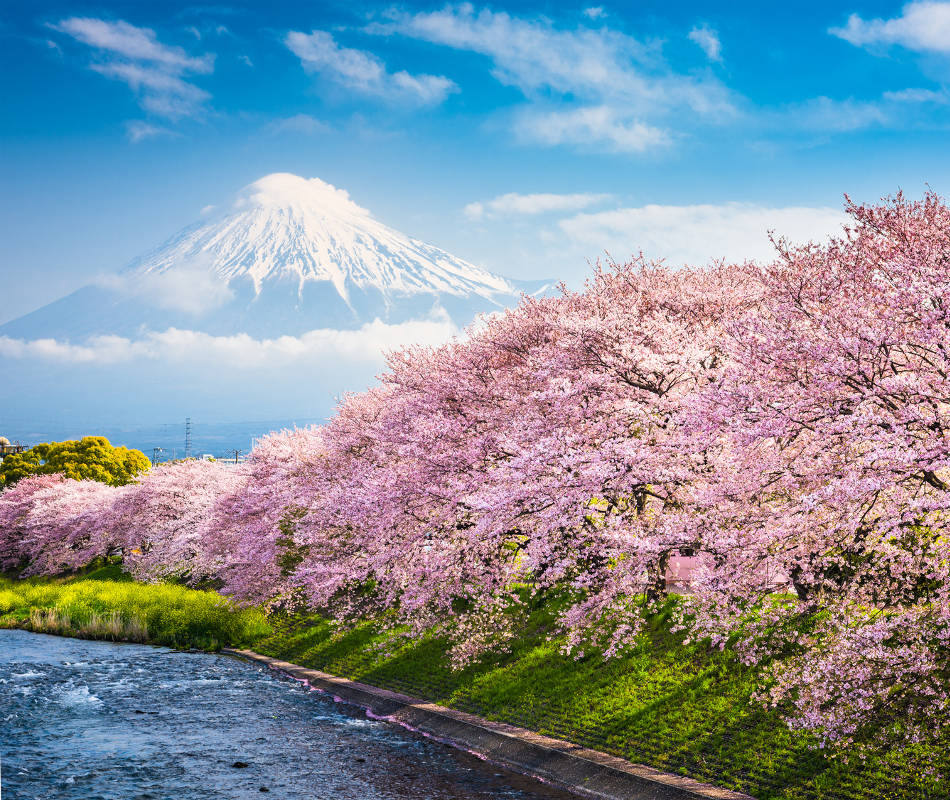 Erlebnisreise Japan, Rundreise Japan, Kirschblüte Japan, Luxusreise Japan