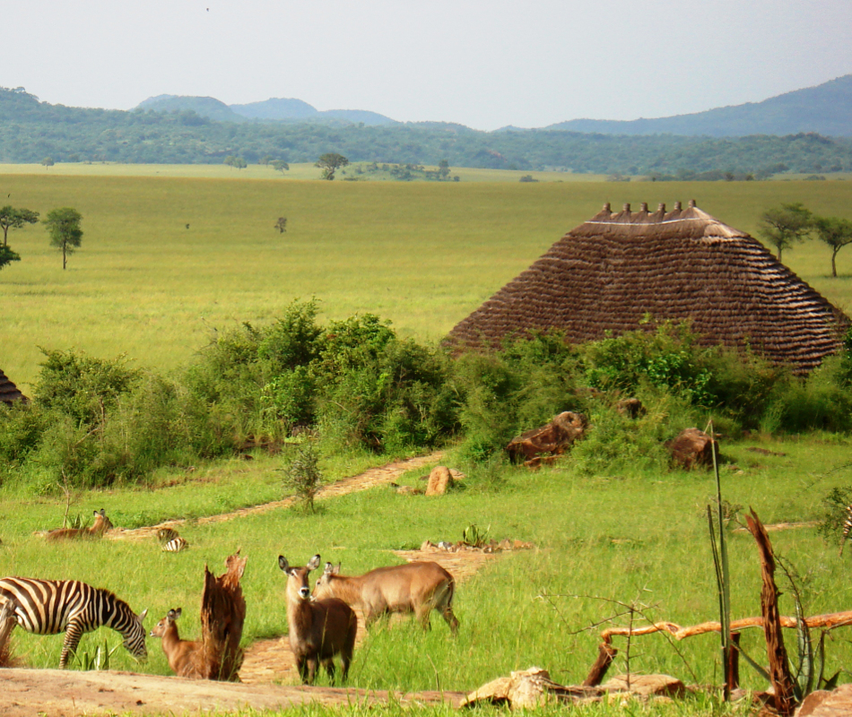Luxusreise Uganda, Erlebnisreise Uganda