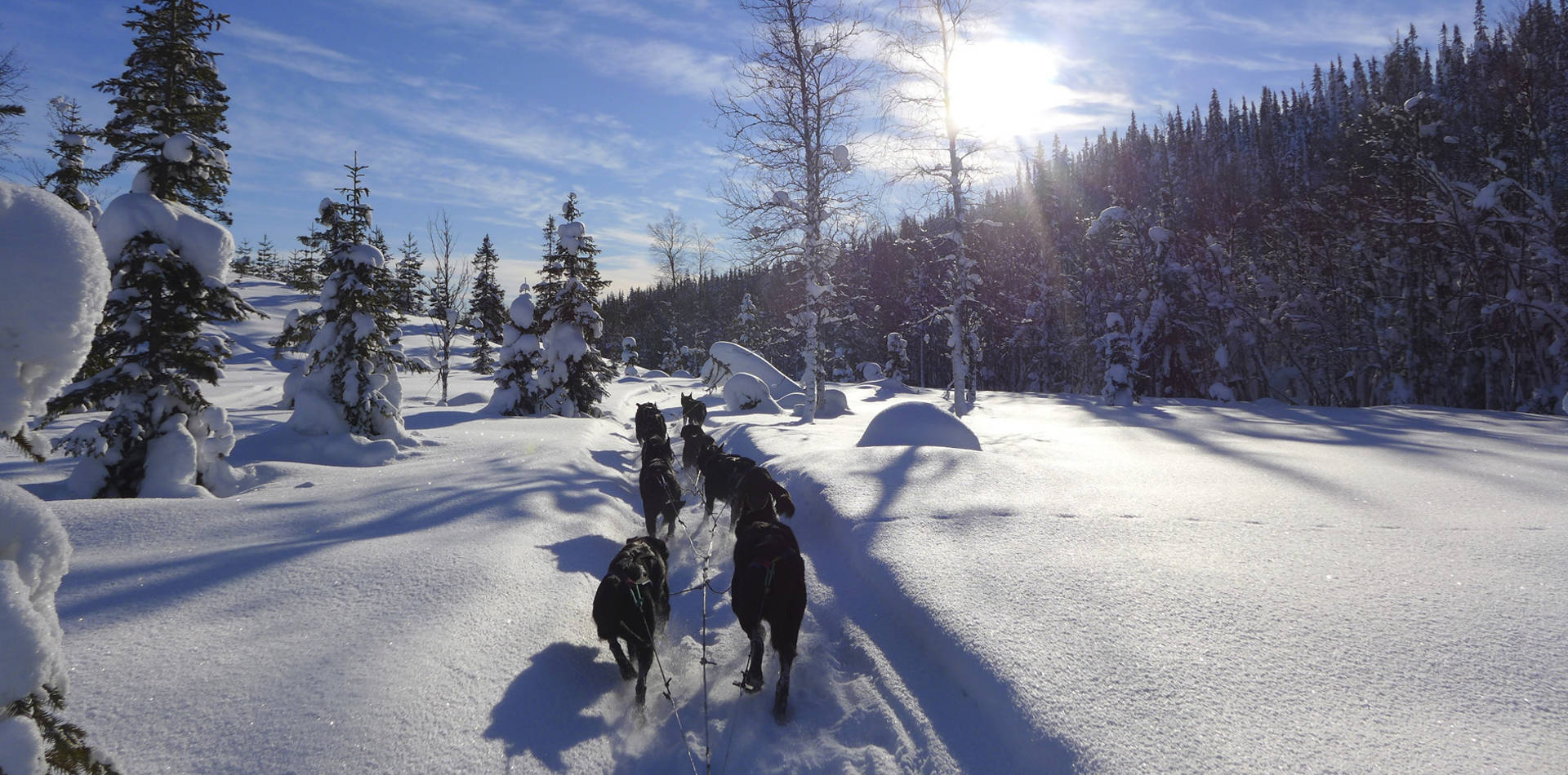 Luxusreise Lappland