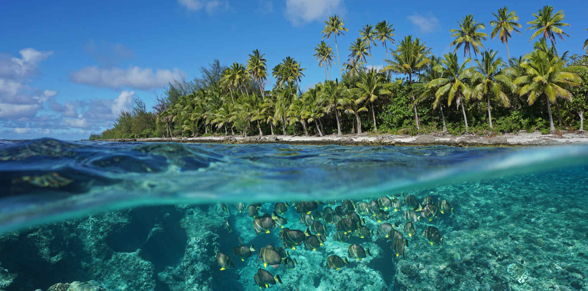 Luxusurlaub in Französisch Polynesien